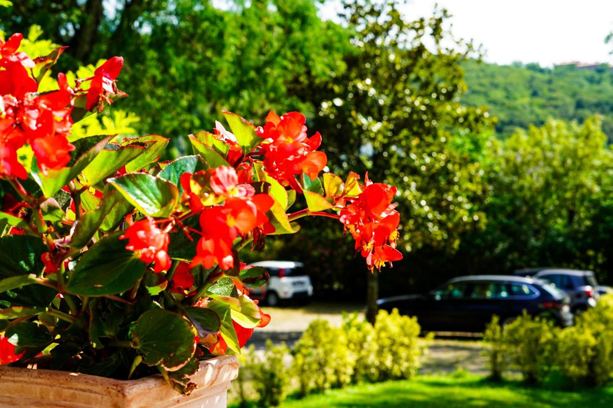 Villa Bottacin Triëst Buitenkant foto